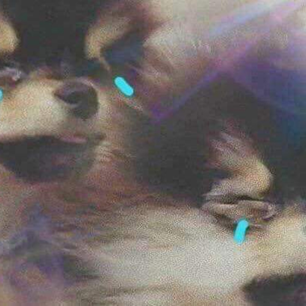 Meet your Posher, Angelia